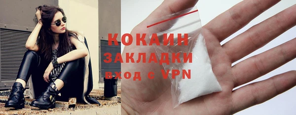 твердый Няндома