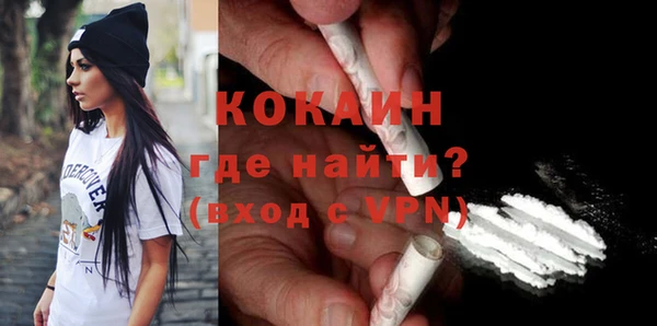 твердый Няндома
