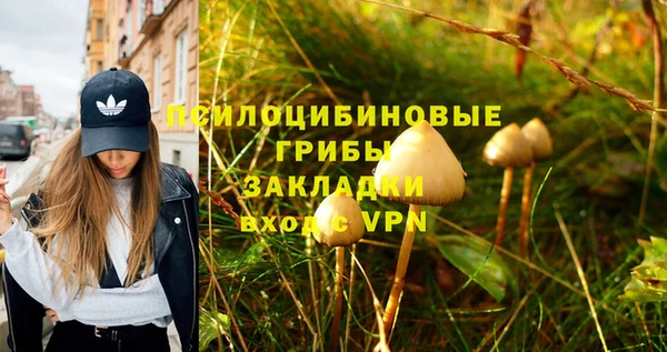 твердый Няндома