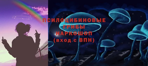 PSILOCYBIN Нягань
