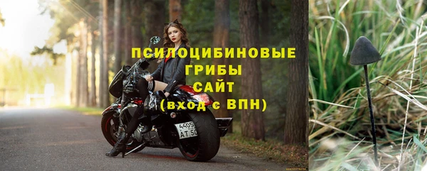 PSILOCYBIN Нягань