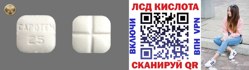 ЛСД экстази кислота  площадка Telegram  Тимашёвск  что такое  