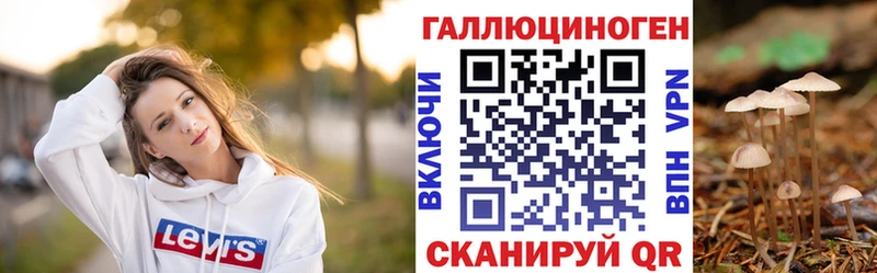 Галлюциногенные грибы прущие грибы  Тимашёвск 